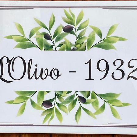 L'Olivo - 1932 Apartman Controguerra Kültér fotó