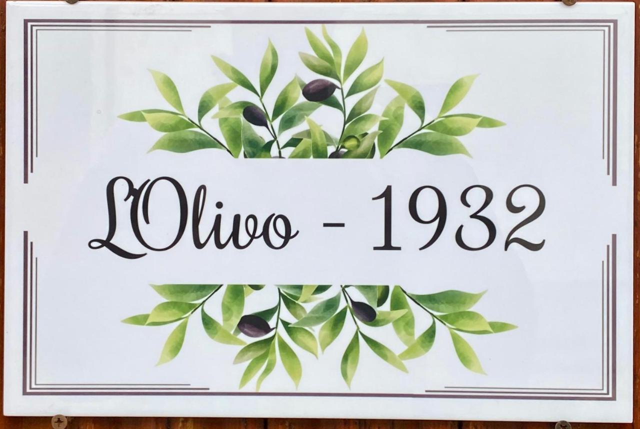 L'Olivo - 1932 Apartman Controguerra Kültér fotó