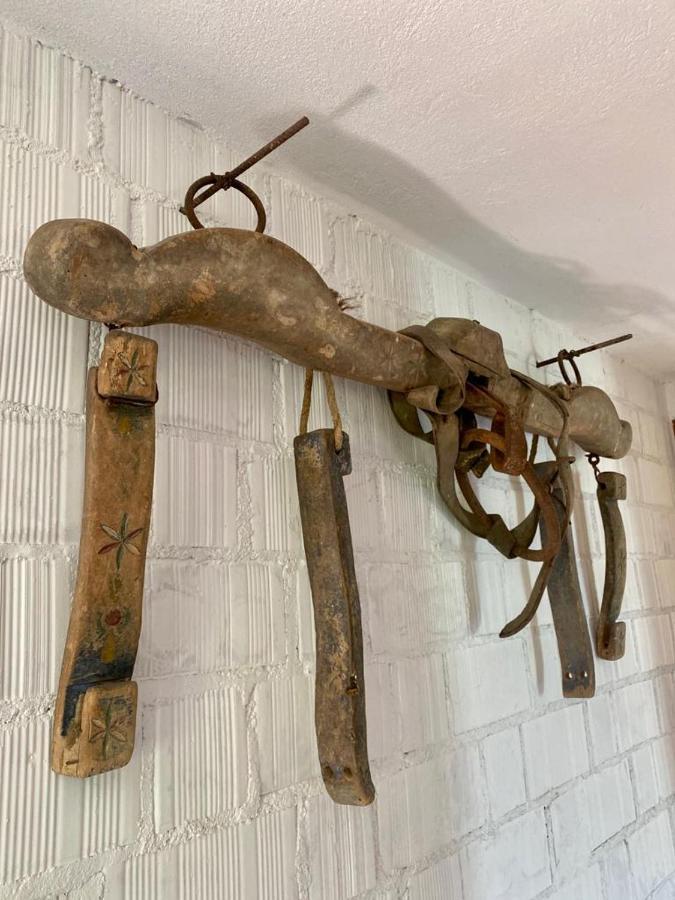 L'Olivo - 1932 Apartman Controguerra Kültér fotó