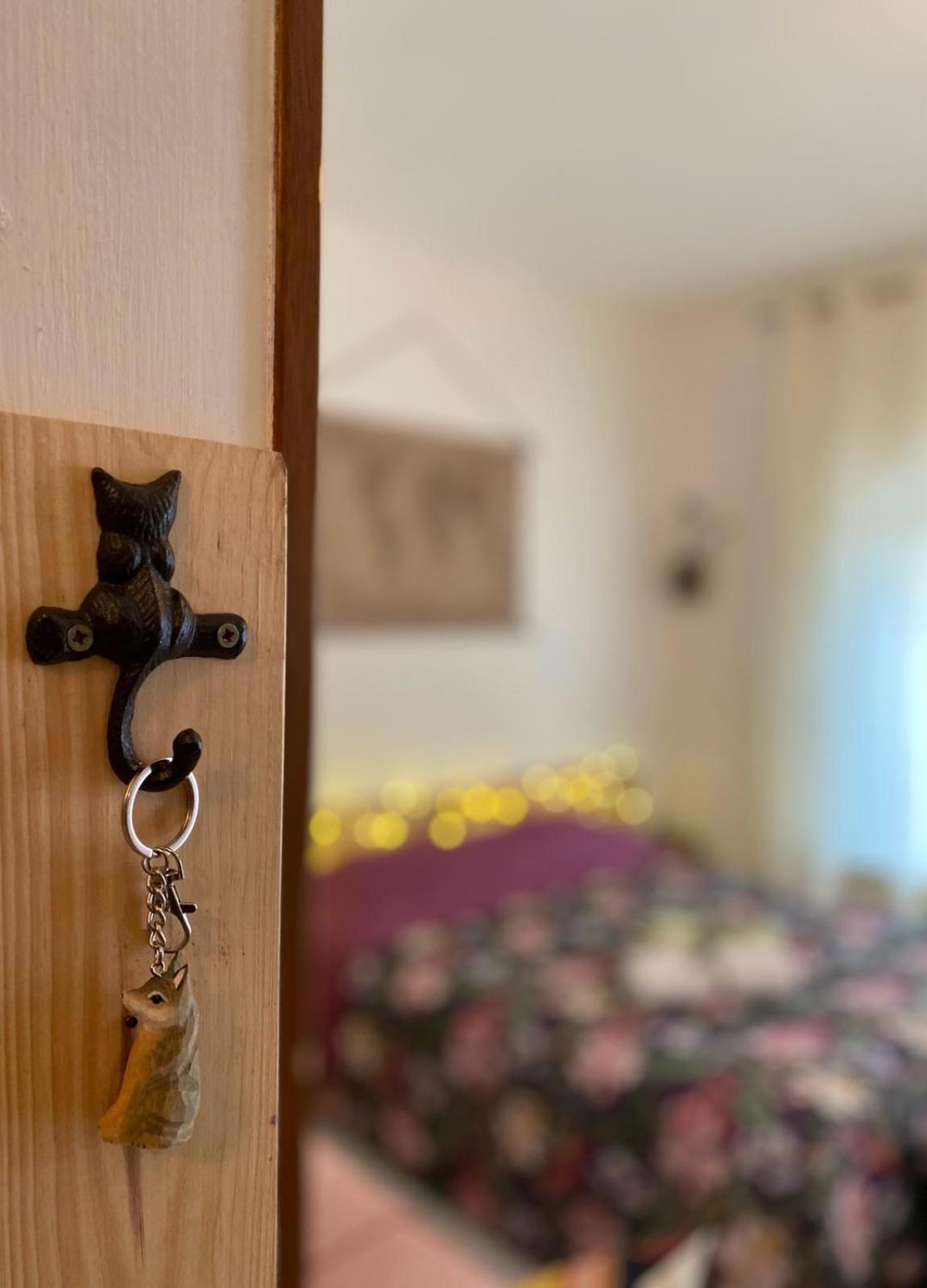 L'Olivo - 1932 Apartman Controguerra Kültér fotó